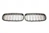 7000322 Решітка радіатора BMW X5 (E70)/X6 (E71) 06-14 (к-кт) AUTOTECHTEILE підбір по vin на Brocar