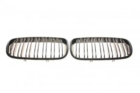 7000322 Решітка радіатора BMW X5 (E70)/X6 (E71) 06-14 (к-кт) AUTOTECHTEILE підбір по vin на Brocar