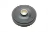 544004220 Шкив коленвала Citroen Berlingo/Jumpy/Peugeot Expert 1.8-1.9D 95-02 (6PK) (в комплекте с болтом) INA підбір по vin на Brocar