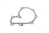 538056710 Помпа води Ford Ranger 2.5 TD 99-06 INA підбір по vin на Brocar