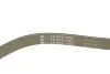 529052710 Комплект ременя генератора Ford Transit Custom 2.2 TDCi 12-15 (6PK1685/4PK922) INA підбір по vin на Brocar