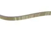 529052710 Комплект ременя генератора Ford Transit Custom 2.2 TDCi 12-15 (6PK1685/4PK922) INA підбір по vin на Brocar
