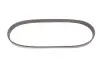 PASEK WIELOROWKOWY 6PK725