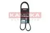 7016077 Пасок клиновий 6PK1195 KAMOKA підбір по vin на Brocar