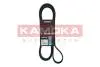 Пасок клиновий 7PK2035 7017041