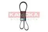 7016159 Ремень клиновой 6PK1795 KAMOKA підбір по vin на Brocar
