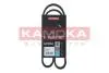 Пасок клиновий 6PK923 7016023