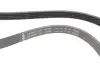 FB5XPK1123 Ремень генератора Volvo S40/S60/S80/V40/V60/V70/XC60/XC70 00- (5PK1123) INA підбір по vin на Brocar