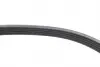 FB5XPK1123 Ремень генератора Volvo S40/S60/S80/V40/V60/V70/XC60/XC70 00- (5PK1123) INA підбір по vin на Brocar