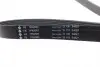 FB7PK2683 Ремінь генератора Ford Transit 2.4TDCi/3.2TDCi 06- (7PK2683) INA підбір по vin на Brocar