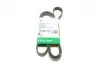 Ремінь генератора BMW 3 (E90) 3.2D 07-11 (6PK1780) N47 D20 FB 6PK1780