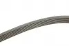 FB6PK1780 Ремень генератора BMW 3 (E90) 3.2D 07-11 (6PK1780) N47 D20 INA підбір по vin на Brocar