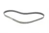 FB6EPK989 Ремень генератора VW Polo/Up 11-/Skoda Fabia 14-/Seat Ibiza 1.0/1.6 15- (6PK989) INA підбір по vin на Brocar