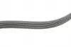 FB6EPK989 Ремень генератора VW Polo/Up 11-/Skoda Fabia 14-/Seat Ibiza 1.0/1.6 15- (6PK989) INA підбір по vin на Brocar