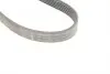 FB6EPK989 Ремень генератора VW Polo/Up 11-/Skoda Fabia 14-/Seat Ibiza 1.0/1.6 15- (6PK989) INA підбір по vin на Brocar