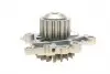 538088210 Помпа воды Citroen/Peugeot 1.5BlueHDi/Ford 1.5Ecoblue/Opel 1.5D/HDi 18- INA підбір по vin на Brocar