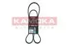 Пасок клиновий 5PK1355 7015063