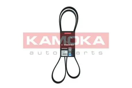 7017029 Пасок клиновий 7PK1770 KAMOKA підбір по vin на Brocar