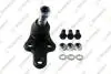 FO464K Шаровая опора нижняя (пр+лев) Ford Focus 03-,C-Max d=21mm TEKNOROT підбір по vin на Brocar
