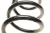 212059 Пружина (передняя) Opel Vivaro 1.9DTI/2.0 16V/Renault Trafic 1.9dCi/2.0/16VdCi/Nissan Primastar 01- SOLGY підбір по vin на Brocar