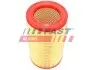 FT37107 Фільтр повітряний FIAT BRAVO 07-16, LANCIA DELTA III 08-14 FAST підбір по vin на Brocar