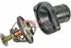 Термостат Fiat Scudo/Peugeot Expert 2.0 16V 00- 4006090
