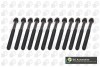 BK5915 HEAD BOLT SET BGA підбір по vin на Brocar