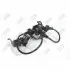 Датчик ABS (передний) Honda Accord VIII 2.0-3.5 16V 08-15 (R) 12002140