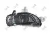 KIERUNKOWSKAZ W LUSTERKU PR FABIA 14- 04813862S