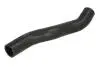 DW0533TT Шланг радіатора THERMOTEC підбір по vin на Brocar