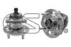 PIASTA TYL L/P 9400592