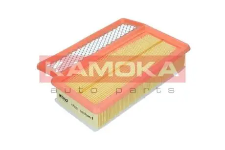 F253001 Повітряний фільтр KAMOKA підбір по vin на Brocar