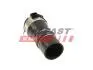 FT65504 Патрубок інтеркулера (короткий) Renault Megane III/Scenic III 1.5dCi 08- FAST підбір по vin на Brocar