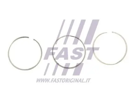 FT473930 Автозапчасть FAST подбор по vin на Brocar