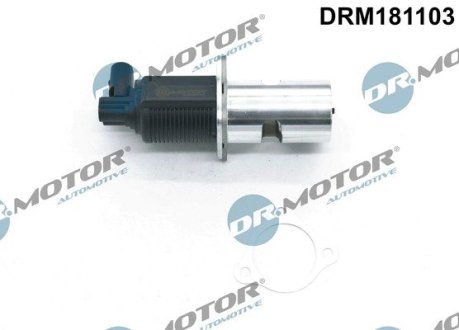 DRM181103 Клапан рециркуляції газів DR.MOTOR підбір по vin на Brocar