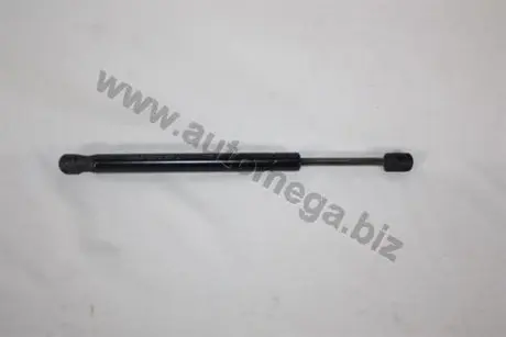 100054310 Автозапчастина AUTOMEGA підбір по vin на Brocar