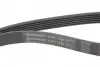 6PK1180K4 Комплект ГРМ CONTITECH підбір по vin на Brocar