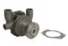 WPPK126 Автозапчасть THERMOTEC підбір по vin на Brocar