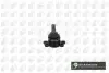 Опора кульова (передня/знизу) Ssyangyong Actyon I/Rexton I/II 02- SJ8302