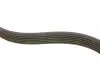FB6PK700 Ремінь генератора Citroen Jumper/Fiat Ducato/Peugeot Boxer 2.0 94- (6PK700) INA підбір по vin на Brocar