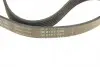 FB6PK700 Ремінь генератора Citroen Jumper/Fiat Ducato/Peugeot Boxer 2.0 94- (6PK700) INA підбір по vin на Brocar