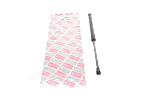 B5134100 Амортизатор капота BMW 3 (E90) 05- BOGAP подбор по vin на Brocar