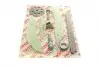 73395SET Комплект ланцюга ГРМ Citroen Berlingo/Peugeot Partner 1.6 VTi 09- (ланцюг, натяжник, фазорегулятор) AIC підбір по vin на Brocar