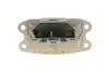 B2118102 Подушка двигуна (L) BMW X1 (F48)/X2 (F39) 15- BOGAP підбір по vin на Brocar