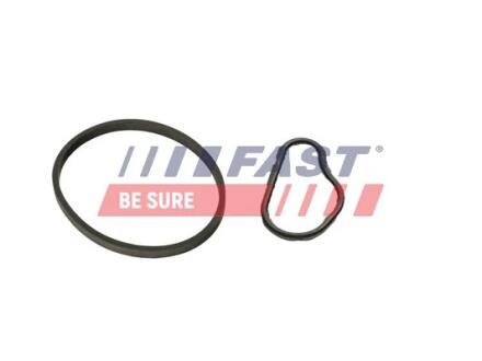 FT48943 К-кт прокладок вакуум. насос (к-кт 2шт)) CITROËN BERLINGO 1.6HDi 08- FORD TRANSIT CONNECT 1.5/1.6TDCi 13- PEUGEOT RIFTER 1.6HDi 18- FAST підбір по vin на Brocar