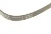 FB6XPK1715 Ремінь генератора VW LT 2.5TDI 00- (-AC)/T4 2.4D/2.5TDI 96- (6PK1715) INA підбір по vin на Brocar