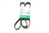 Ремінь генератора Land Rover Range Rover Sport 05-13/Discovery 2.7D 04- (8PK2093) FB 8PK2093