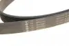 FB8PK2093 Ремінь генератора Land Rover Range Rover Sport 05-13/Discovery 2.7D 04- (8PK2093) INA підбір по vin на Brocar