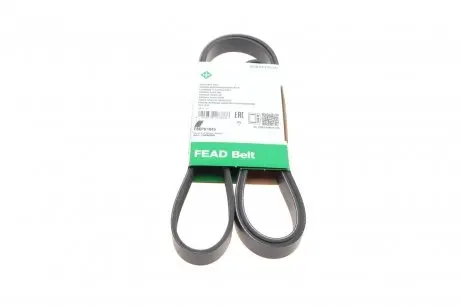 FB6PK1845 Ремінь генератора Ford Mondeo IV 2.0TDCI 07-15/Volvo S80/V70 2.0D/TDi 07-15 (6PK1845) INA підбір по vin на Brocar