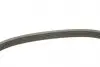 FB5EPK628 Ремінь генератора Ford Mondeo IV 2.5 07-15/Volvo S60/S80/V60/V70/XC60/XC70 07-16 INA підбір по vin на Brocar